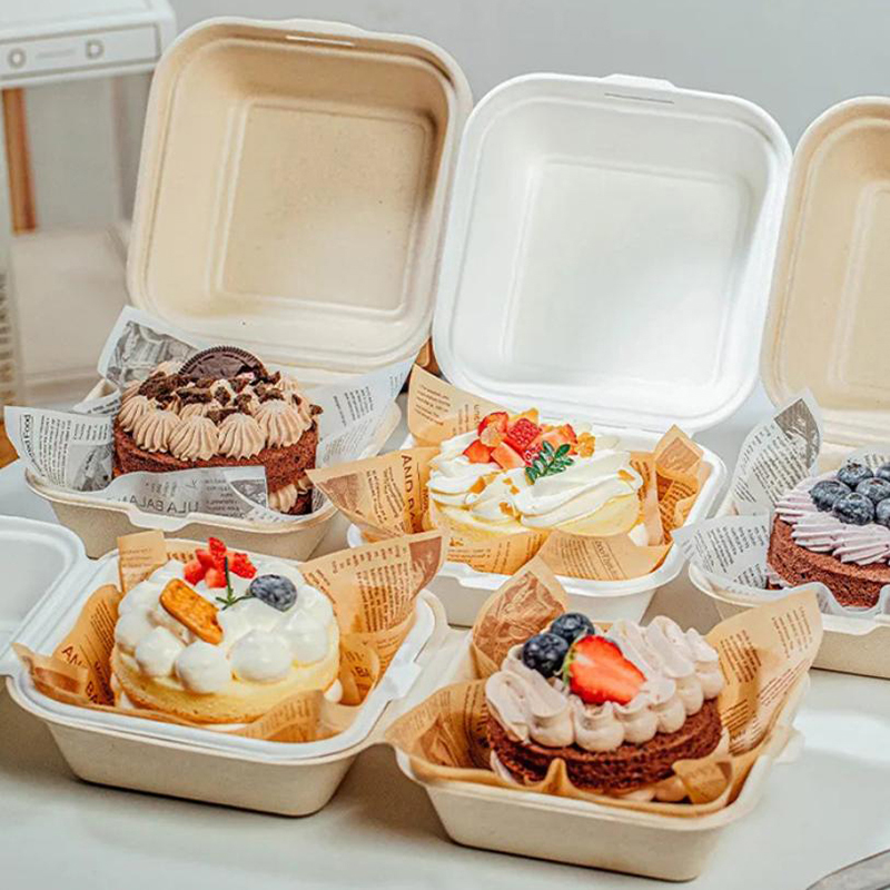 Nice Food Snacks - 【Nice】10 boîtes à bento jetables pour